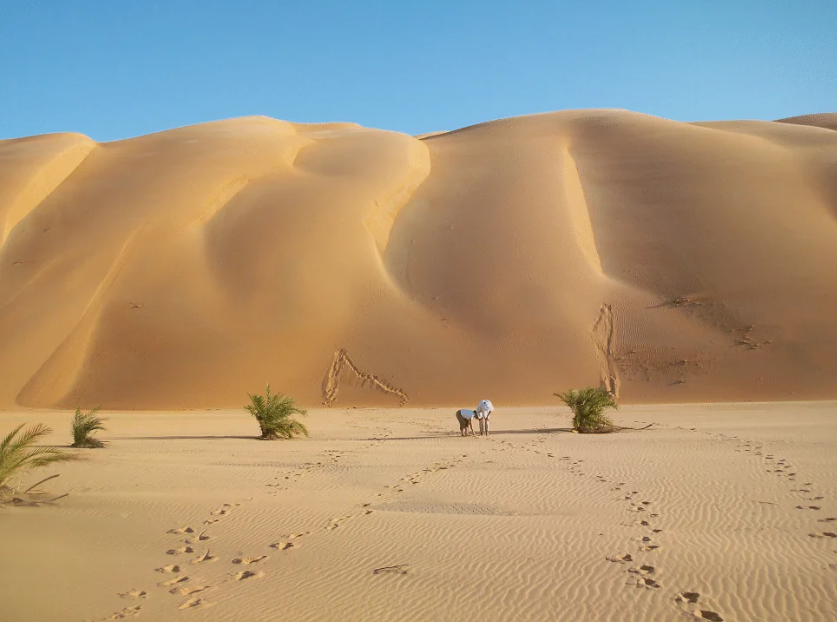 Erg Amatlich, Near Atar, Adrar Region, Mauritania